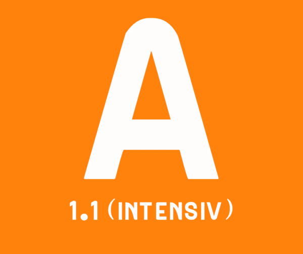 A1.1