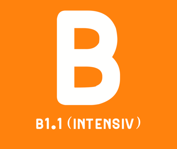 B1.1
